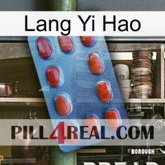 Lang Yi Hao 06